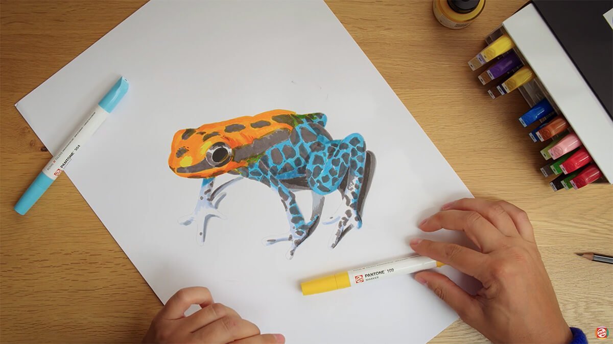 Drawing a frog - Royal Talens