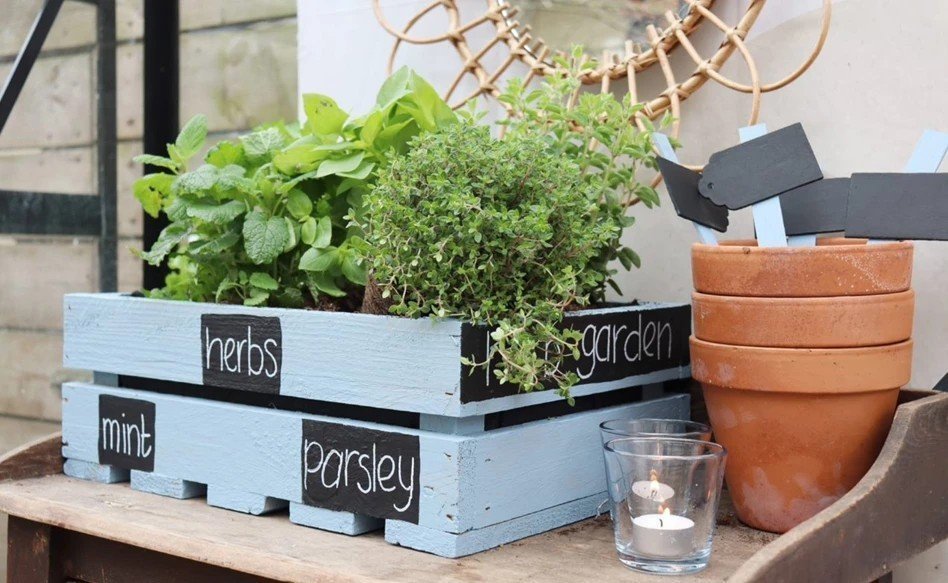 DIY herb garden - Royal Talens