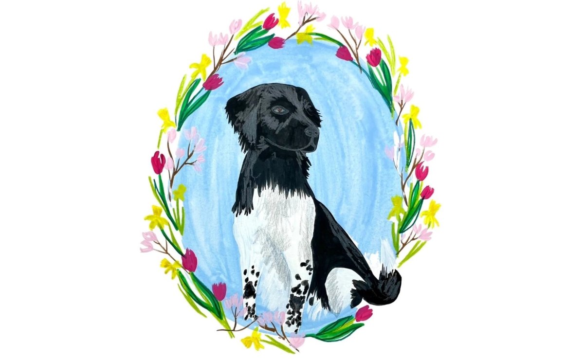 Pet portrait painting - Royal Talens