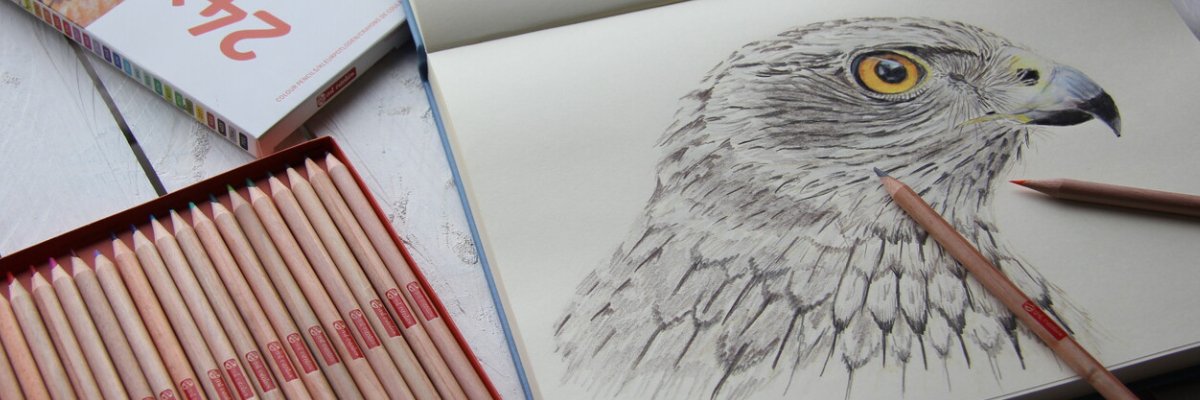 Coloured pencils