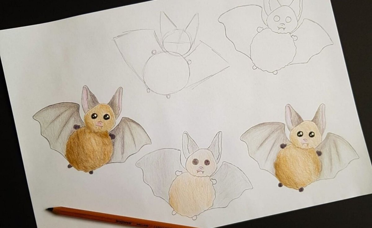 Drawing a bat