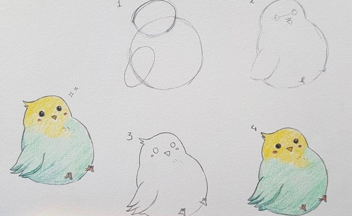 Drawing a bird - Royal Talens