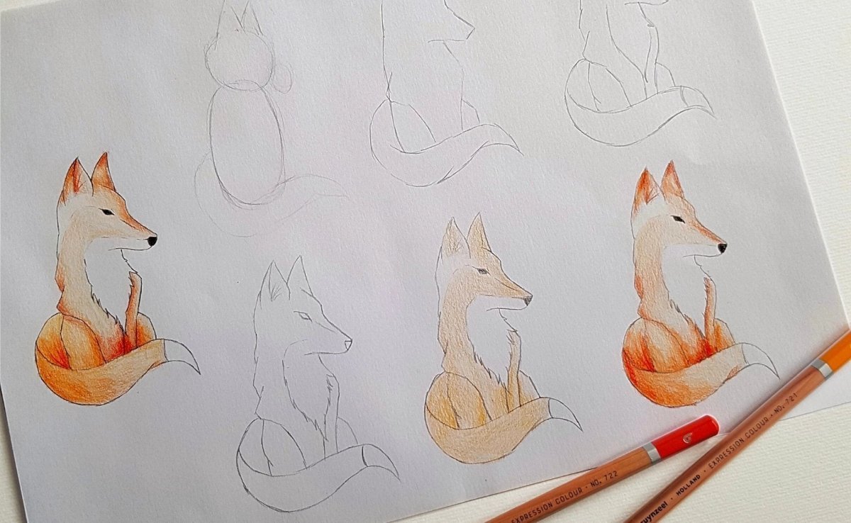 Drawing a fox - Royal Talens