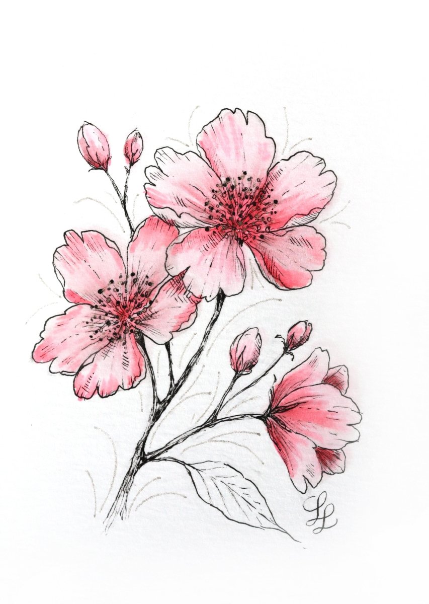 Japanese cherry blossom - Royal Talens