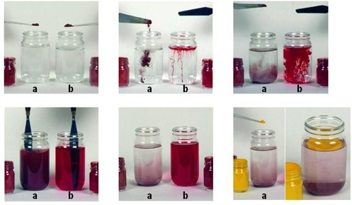 pigments versus colorants