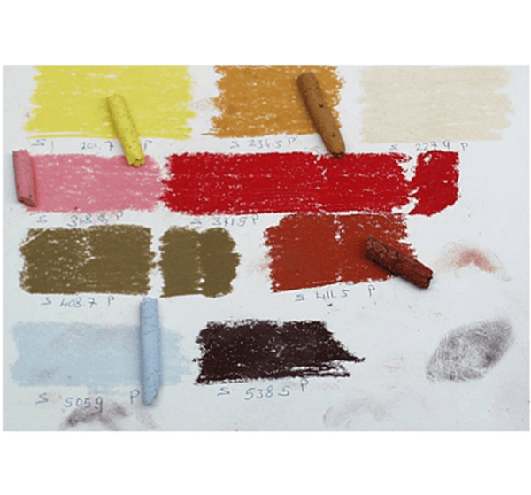 Pastels tendres Rembrandt