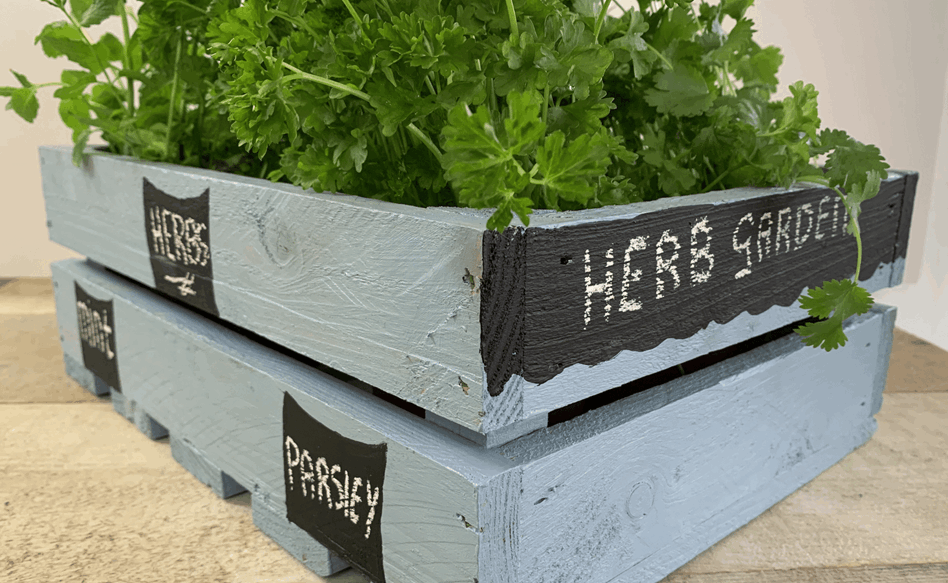 DIY herb garden