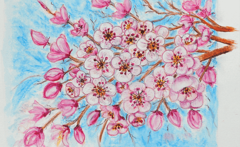 Cherry blossoms in oil pastel