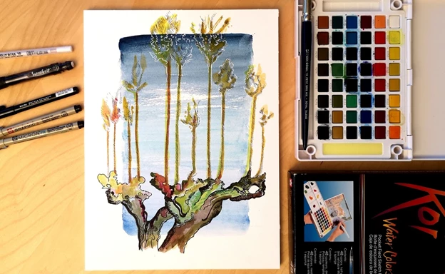 Sakura Koi Watercolors Pocket Field Sketch Box Set - 48 colors - 8815186