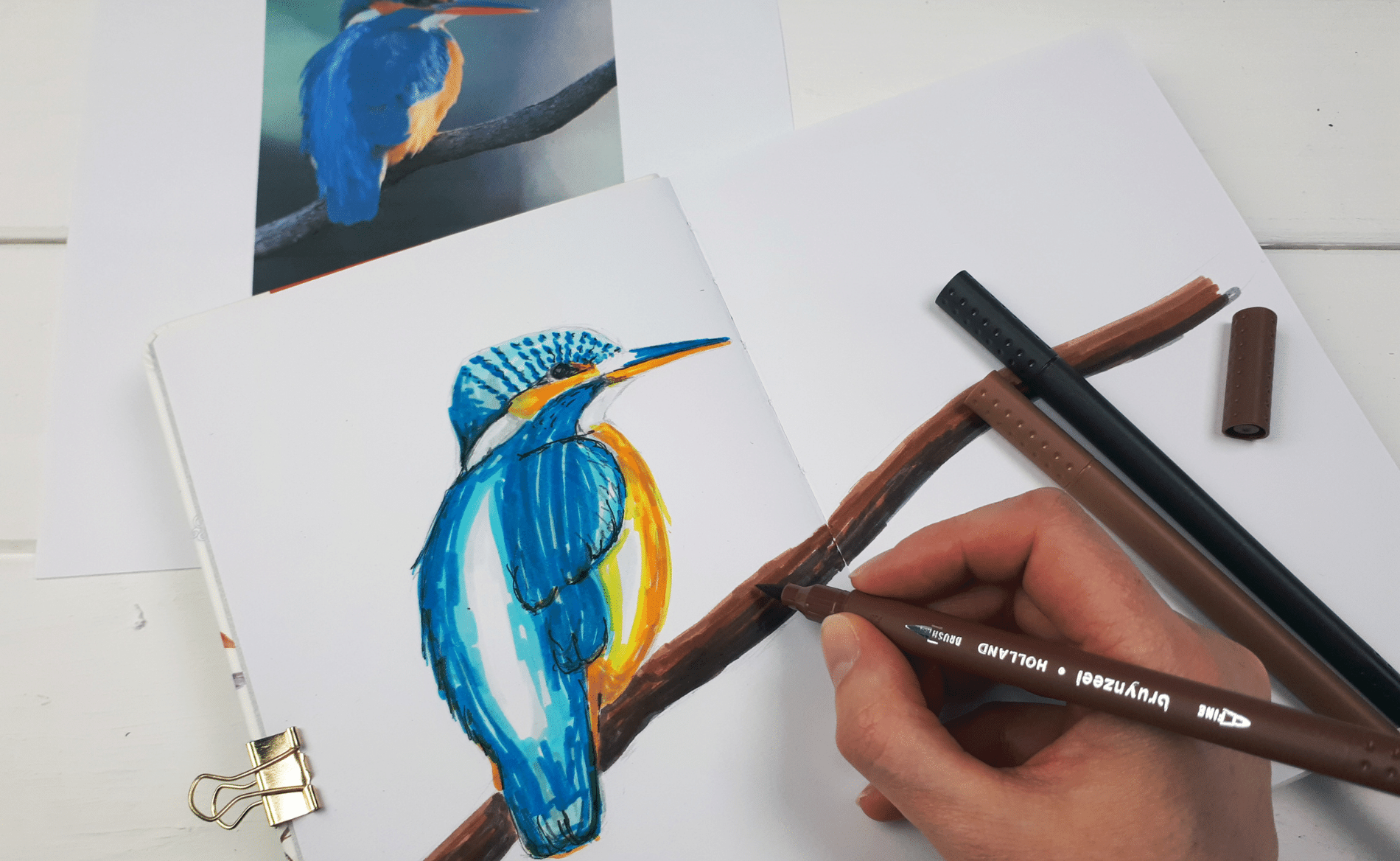 ballpoint pen drawing on paper White-throated Kingfisher original artwork