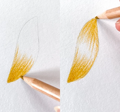 Drawing blond hair with colour pencils