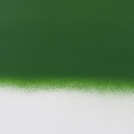 Olivgrün Dunkel